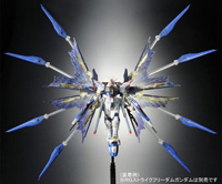 ■ RG Strike Freedom Gundam Expansion Effect Unit: 